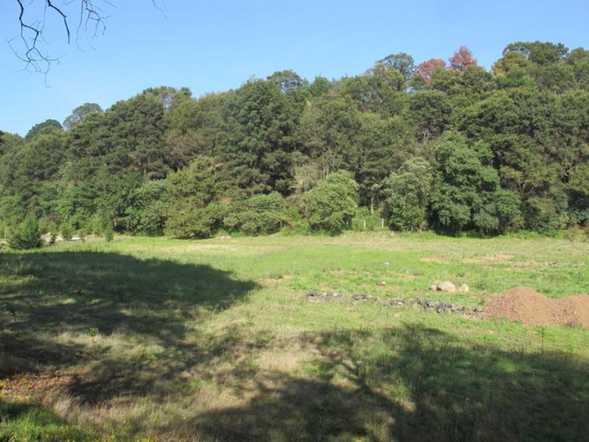 Grundstück in Lerma, Mexico, Nr. 202997