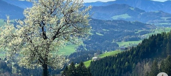  Land in Randegg, Austria No. 39606 5