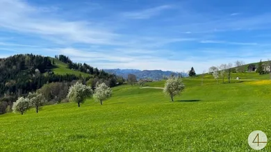  Land in Randegg, Austria No. 39606