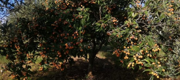 Land in Acquedolci, Italy No. 338652 8