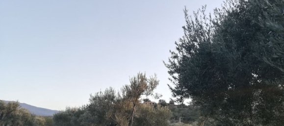 Land in Acquedolci, Italy No. 338652 10