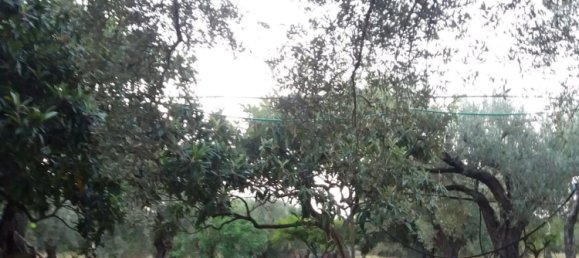 Land in Acquedolci, Italy No. 338652 2