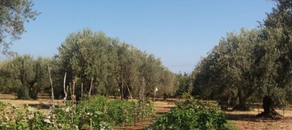 Land in Acquedolci, Italy No. 338652 5