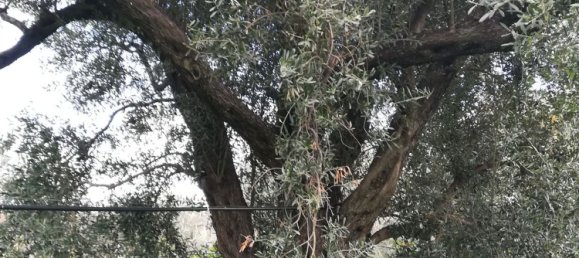 Land in Acquedolci, Italy No. 338652 13