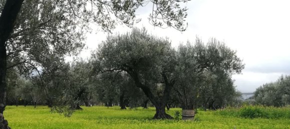 Land in Acquedolci, Italy No. 338652 12