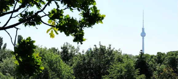 1 غرف نوم شقة في Friedrichshain, Germany رقم 54046 5