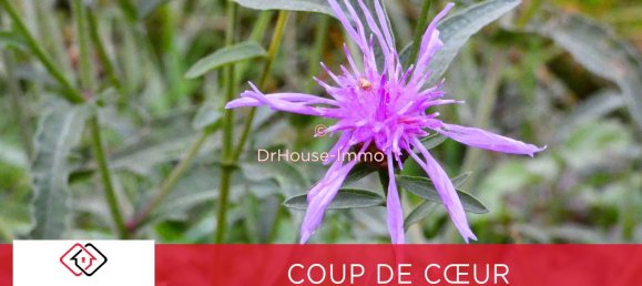 Земельный участок в Шарантон-дю-Шер, Франция № 57368 5