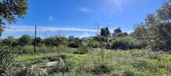 14 rooms Apartment in Collesalvetti, Italy No. 104994 19