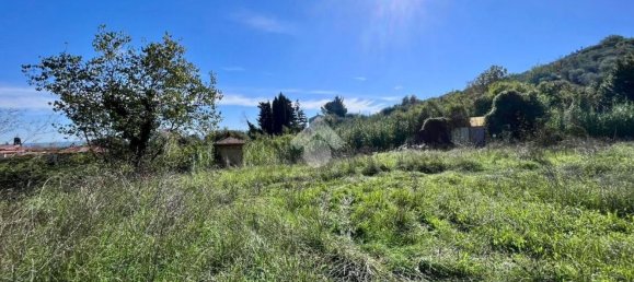 14 rooms Apartment in Collesalvetti, Italy No. 104994 18