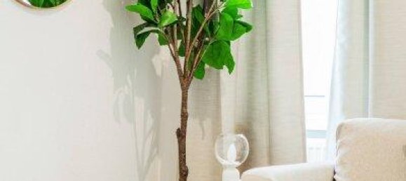 2 rooms Apartment in Wahring, Austria No. 169258 4