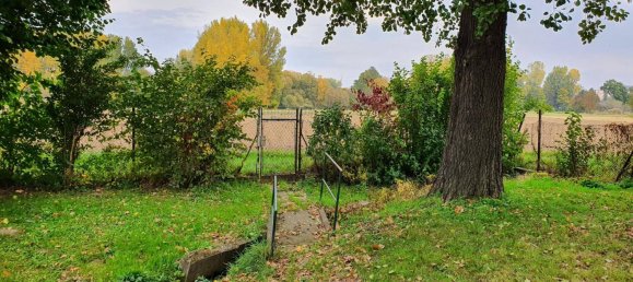 3 غرف نوم منزل في Mistelbach, Austria رقم 129927 8