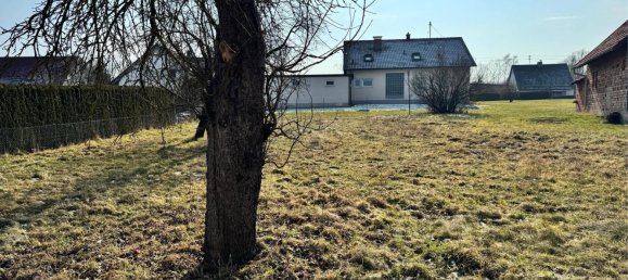 Terrain à Gunzburg, Germany No. 184062 7