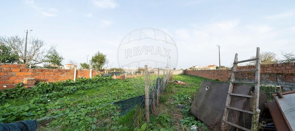 Дом с 2 спальнями в Оливейринья, Португалия № 48494 13