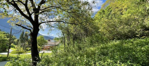 2365m² Land in Spital am Pyhrn, Austria No. 154871 5