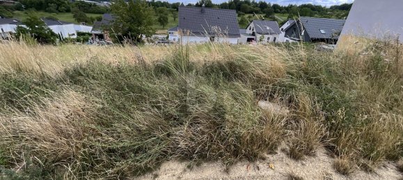 Terreno en Enzkreis, Germany No. 266033 2