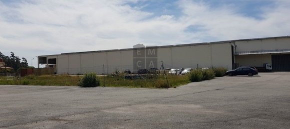 450m² Land in Loureiro, Portugal No. 85465 3