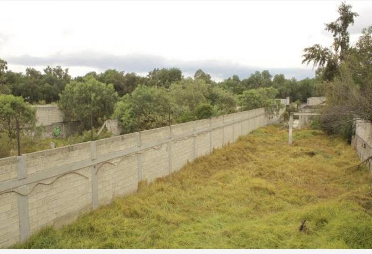 Grundstück in Tepotzotlan, Mexico, Nr. 203499