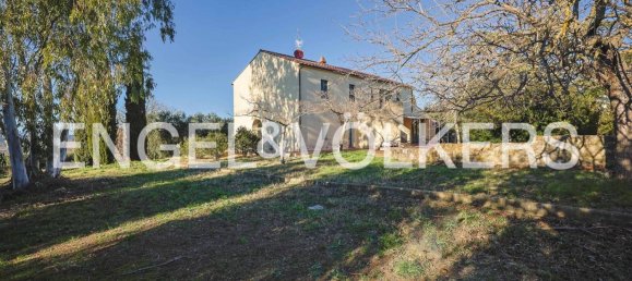 8 bedrooms Villa in Campagnatico, Italy No. 63873 4