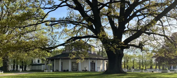 6 rooms Apartment in Rostock, Germany No. 179289 2