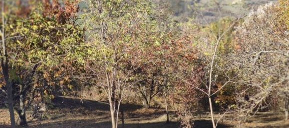 8 rooms House in Gropparello, Italy No. 71741 12