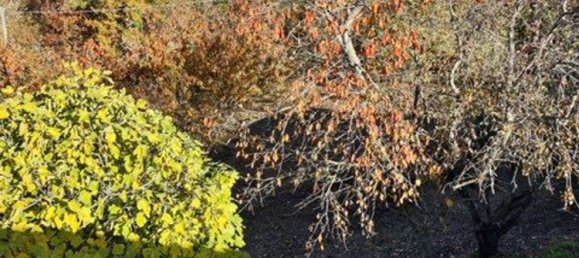 8 rooms House in Gropparello, Italy No. 71741 7