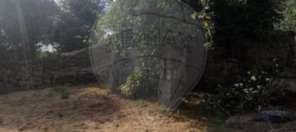 4 bedrooms House in Abadim, Portugal No. 41970 14