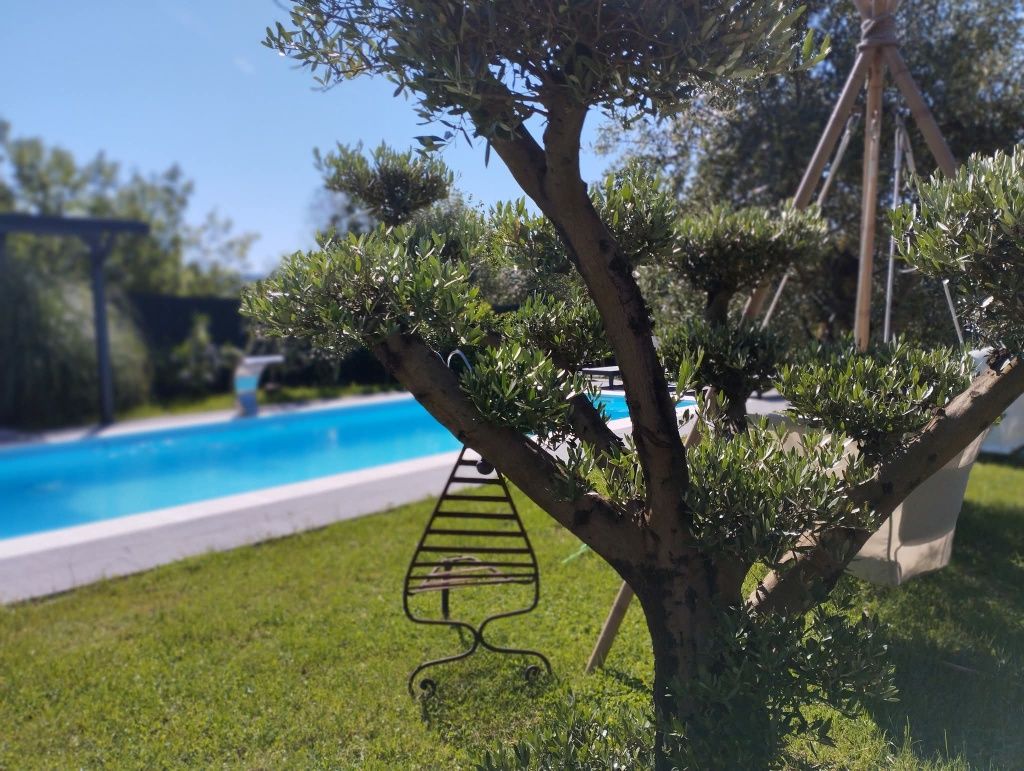  Castillos de 8 dormitorios en Alcafache, Portugal No. 260054