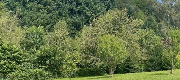 Grundstück in Wisembach, France 1200m², Nr. 63080 2