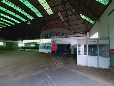 2655m² Warehouse in Ponte de Sor, Portugal No. 50038