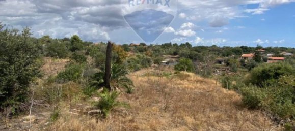  قطعة أرض في Ragusa, Italy 160000متر مربع رقم 293481 4