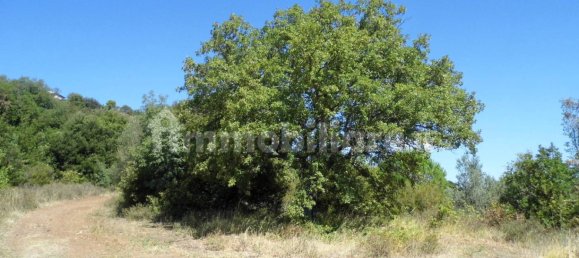 1 bedroom House in Castelnuovo di Val di Cecina, Italy No. 352019 14