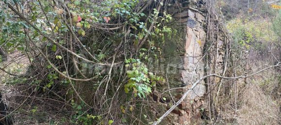 1 bedroom House in Castelnuovo di Val di Cecina, Italy No. 352019 2