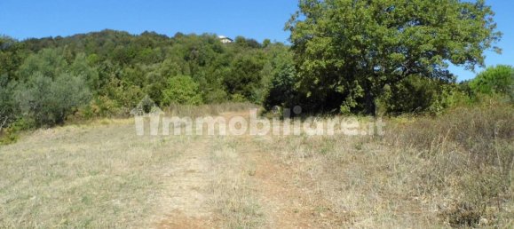 1 bedroom House in Castelnuovo di Val di Cecina, Italy No. 352019 13