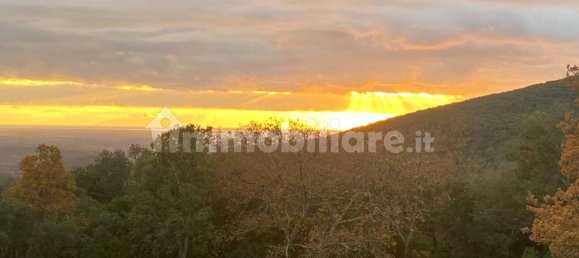 1 bedroom House in Castelnuovo di Val di Cecina, Italy No. 352019 15