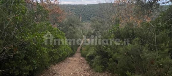 1 bedroom House in Castelnuovo di Val di Cecina, Italy No. 352019 7