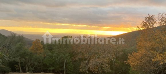 1 bedroom House in Castelnuovo di Val di Cecina, Italy No. 352019 19