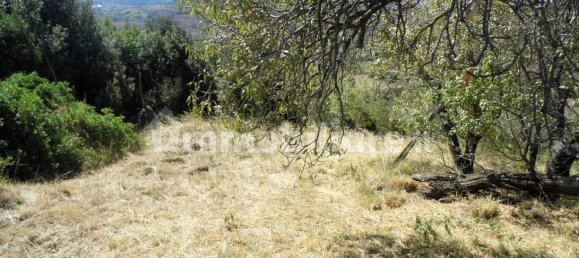 1 bedroom House in Castelnuovo di Val di Cecina, Italy No. 352019 12