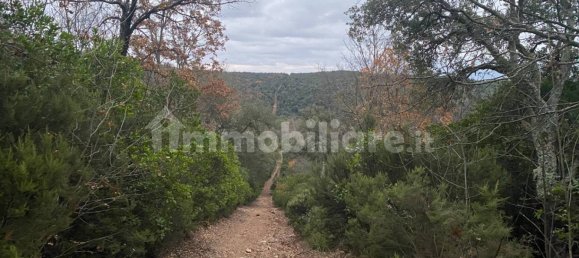 1 bedroom House in Castelnuovo di Val di Cecina, Italy No. 352019 6