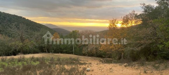 1 bedroom House in Castelnuovo di Val di Cecina, Italy No. 352019 18