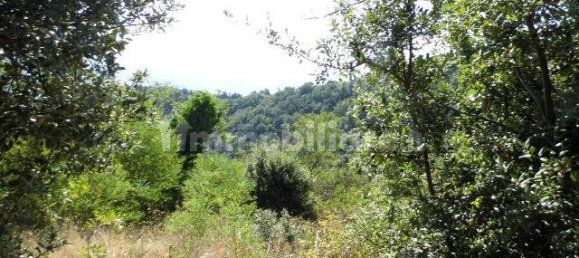 1 bedroom House in Castelnuovo di Val di Cecina, Italy No. 352019 10