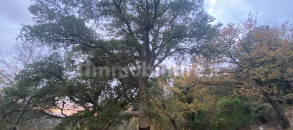 1 bedroom House in Castelnuovo di Val di Cecina, Italy No. 352019 3