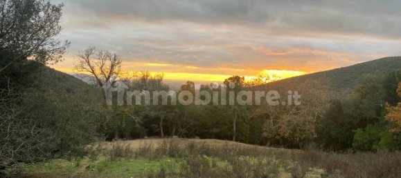 1 bedroom House in Castelnuovo di Val di Cecina, Italy No. 352019 17