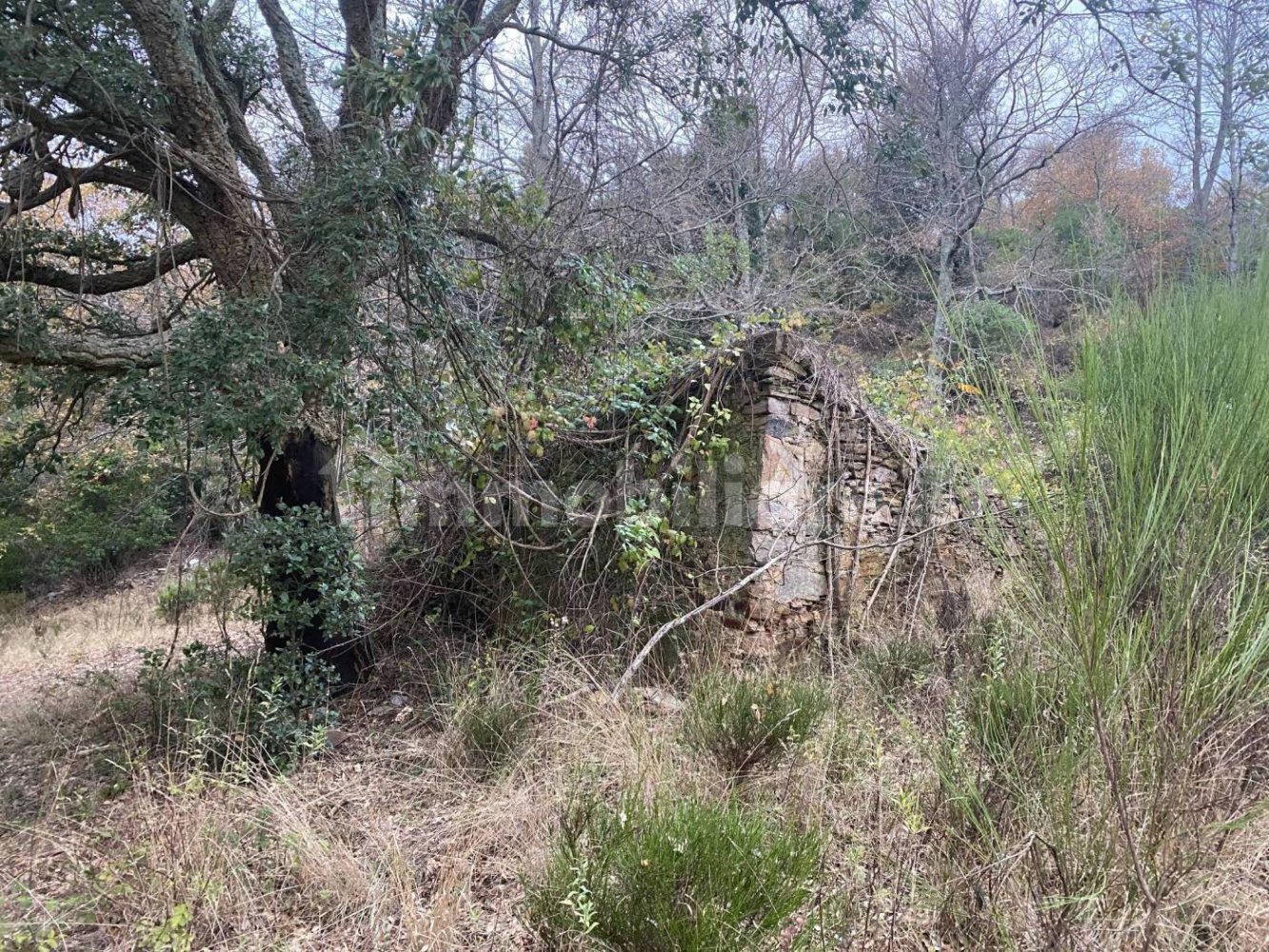 1 bedroom House in Castelnuovo di Val di Cecina, Italy No. 352019