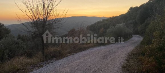 1 bedroom House in Castelnuovo di Val di Cecina, Italy No. 352019 20