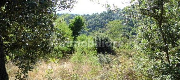 1 bedroom House in Castelnuovo di Val di Cecina, Italy No. 352019 9