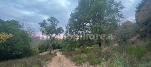 1 bedroom House in Castelnuovo di Val di Cecina, Italy No. 352019 5