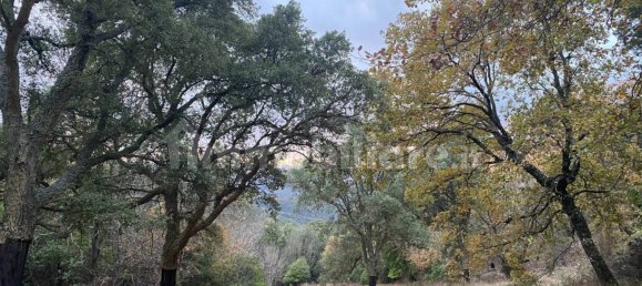 1 bedroom House in Castelnuovo di Val di Cecina, Italy No. 352019 4