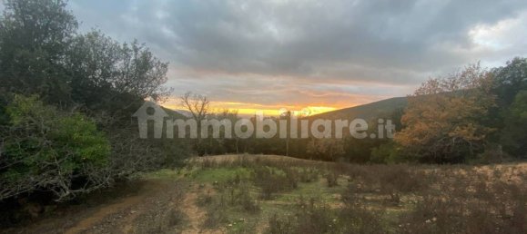 1 bedroom House in Castelnuovo di Val di Cecina, Italy No. 352019 16