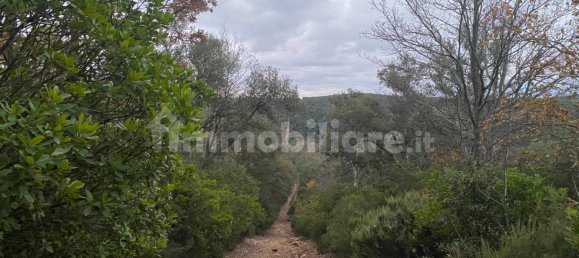 1 bedroom House in Castelnuovo di Val di Cecina, Italy No. 352019 8