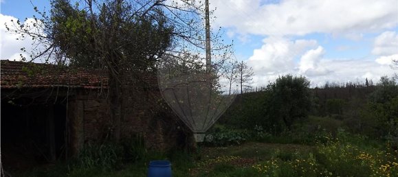 3 bedrooms House in Penacova, Portugal No. 34278 7